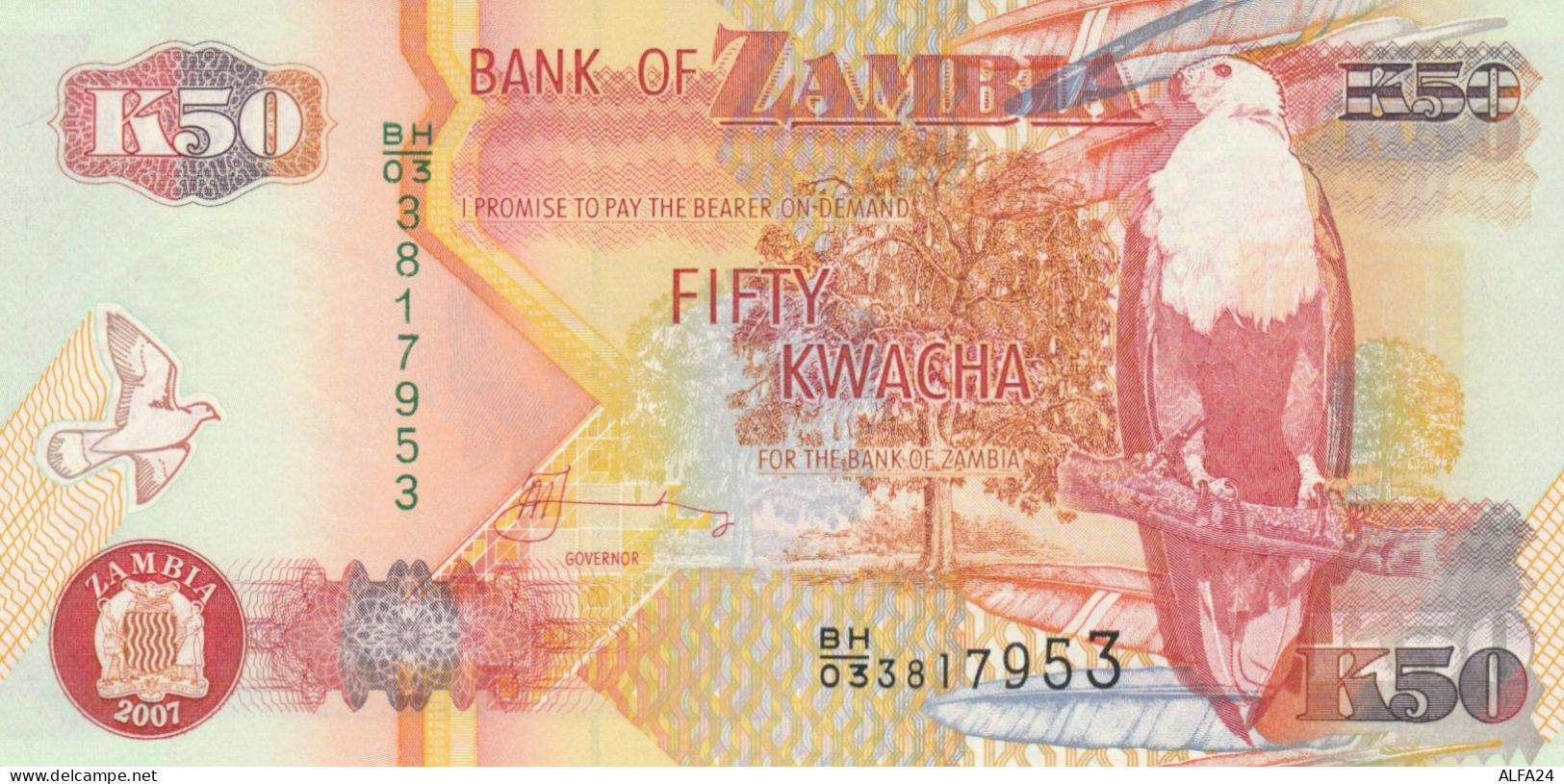 BANCONOTA ZAMBIA 50 UNC (HB904 - Zambie