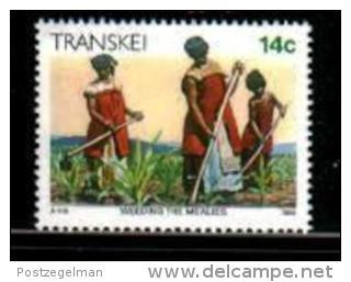 TRANSKEI, 1986,  MNH Stamp(s), Xhosa Culture 14 Cent,   Nr(s) 184 - Transkei