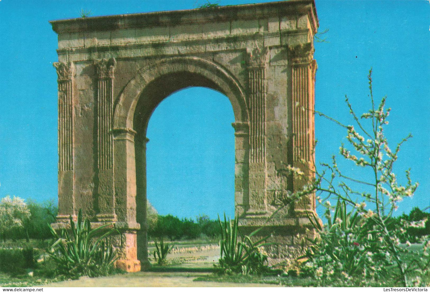 ESPAGNE - Tarragona - Vue Générale De L'arc De Bara -  Colorisé - Carte Postale - Tarragona