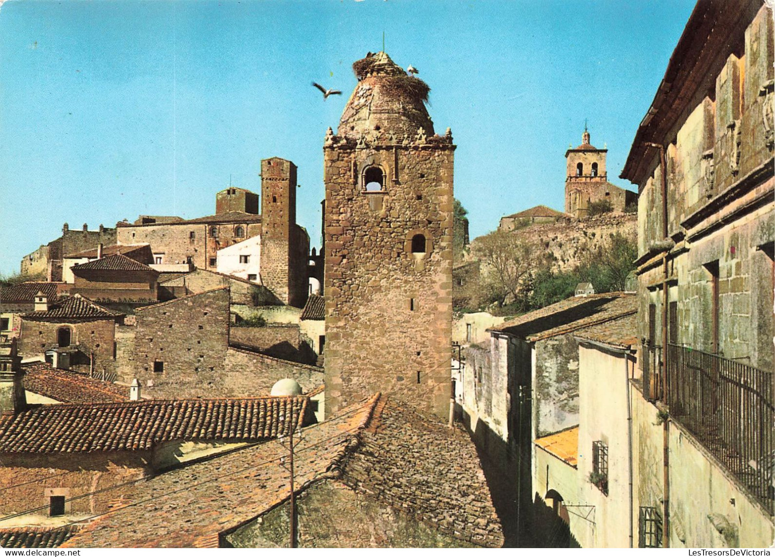 ESPAGNE - Caceres - Trujillo - Vue Générale Du Tour Du Alfiler - Colorisé - Carte Postale - Cáceres