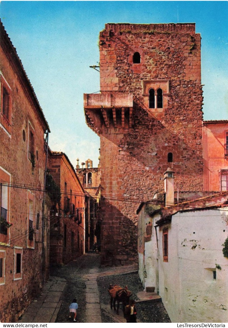 ESPAGNE - Caceres - Vue Sur Le Tour Des Espaderos - Colorisé - Carte Postale - Cáceres