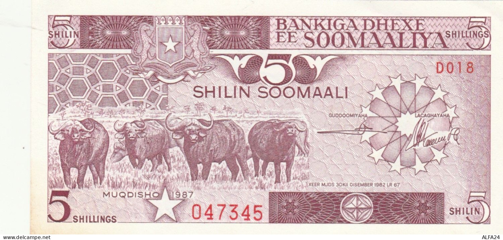 BANCONOTA SOMALIA 5 UNC (HP408 - Somalie