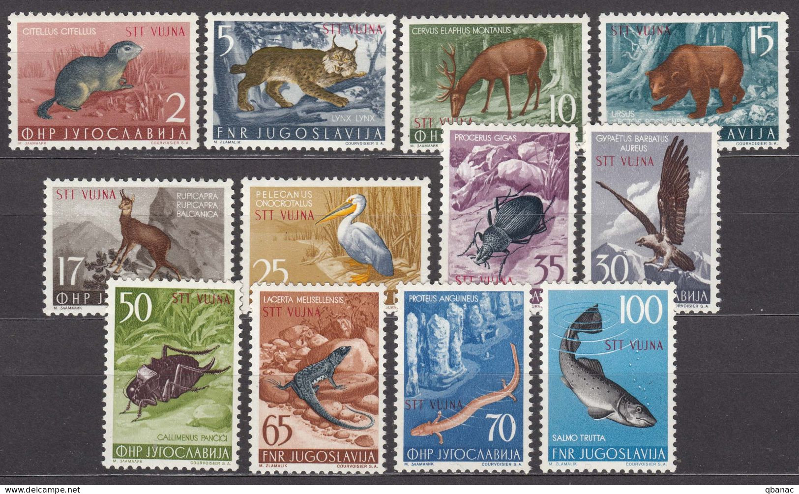 Italy Yugoslavia Trieste Zone B, Animals 1954 Mi#123-134, Sassone#101-112 Mint Hinged - Mint/hinged