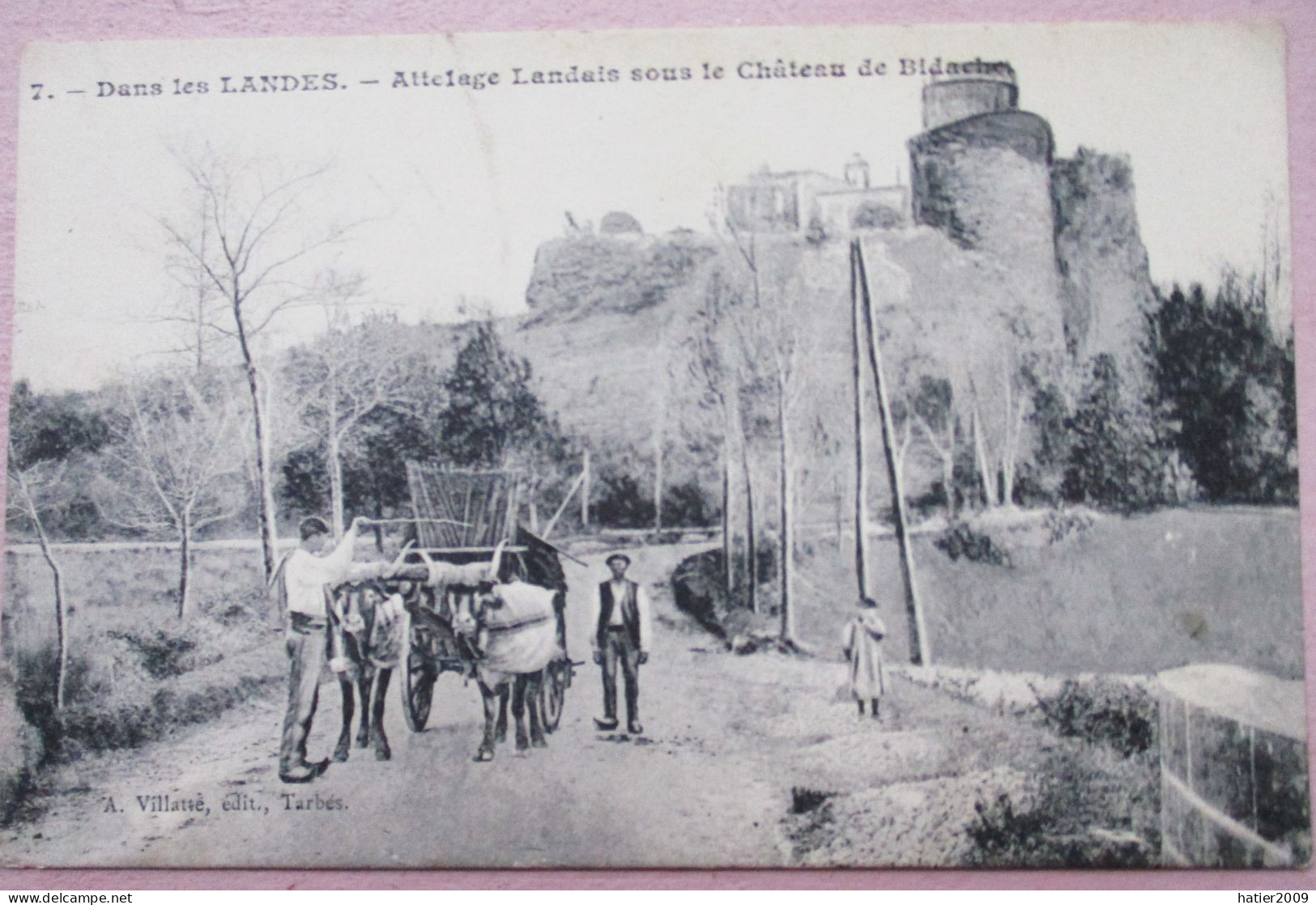 Attelage Landais Sous Le Château De BIDACHE - Avec Belle Animation - Bidache