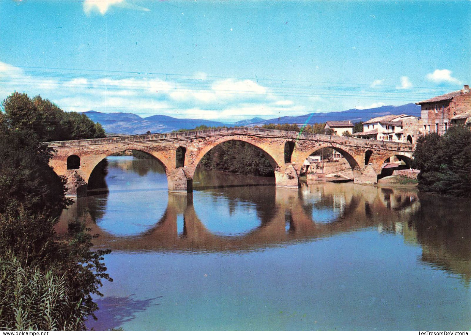 ESPAGNE - Pont De La Reine - Vue Générale Du Pont Des Pelerins - Colorisé - Carte Postale - Navarra (Pamplona)