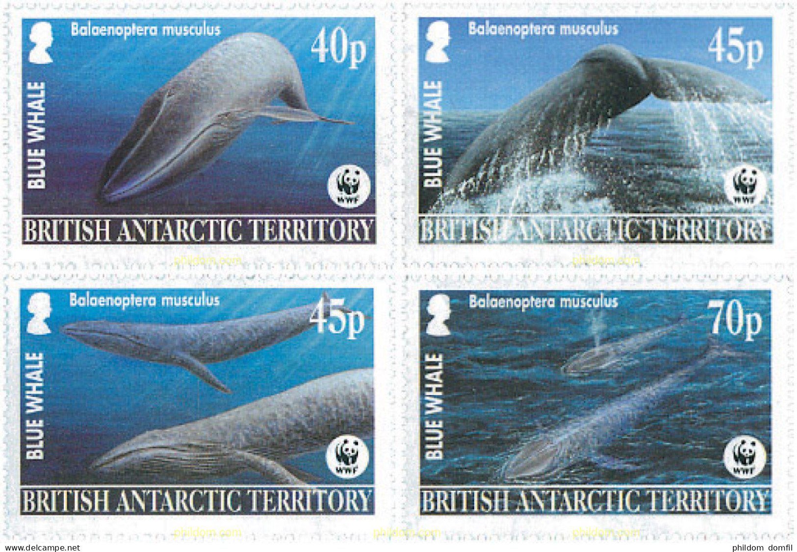 127281 MNH ANTARTIDA BRITANICA 2003 BALLENA AZUL - Nuevos