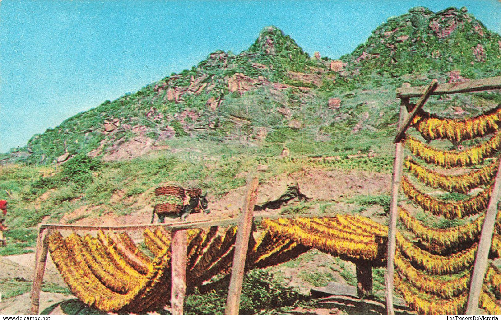 MACEDOINE - Prilep - Un Paysage Dans Les Montagnes - Colorisé - Carte Postale - Noord-Macedonië