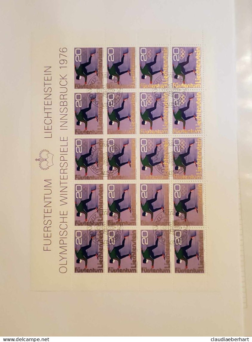 1975 Eisschnellläufer Bogen Postfrisch Bogen Ersttagsstempel - Storia Postale