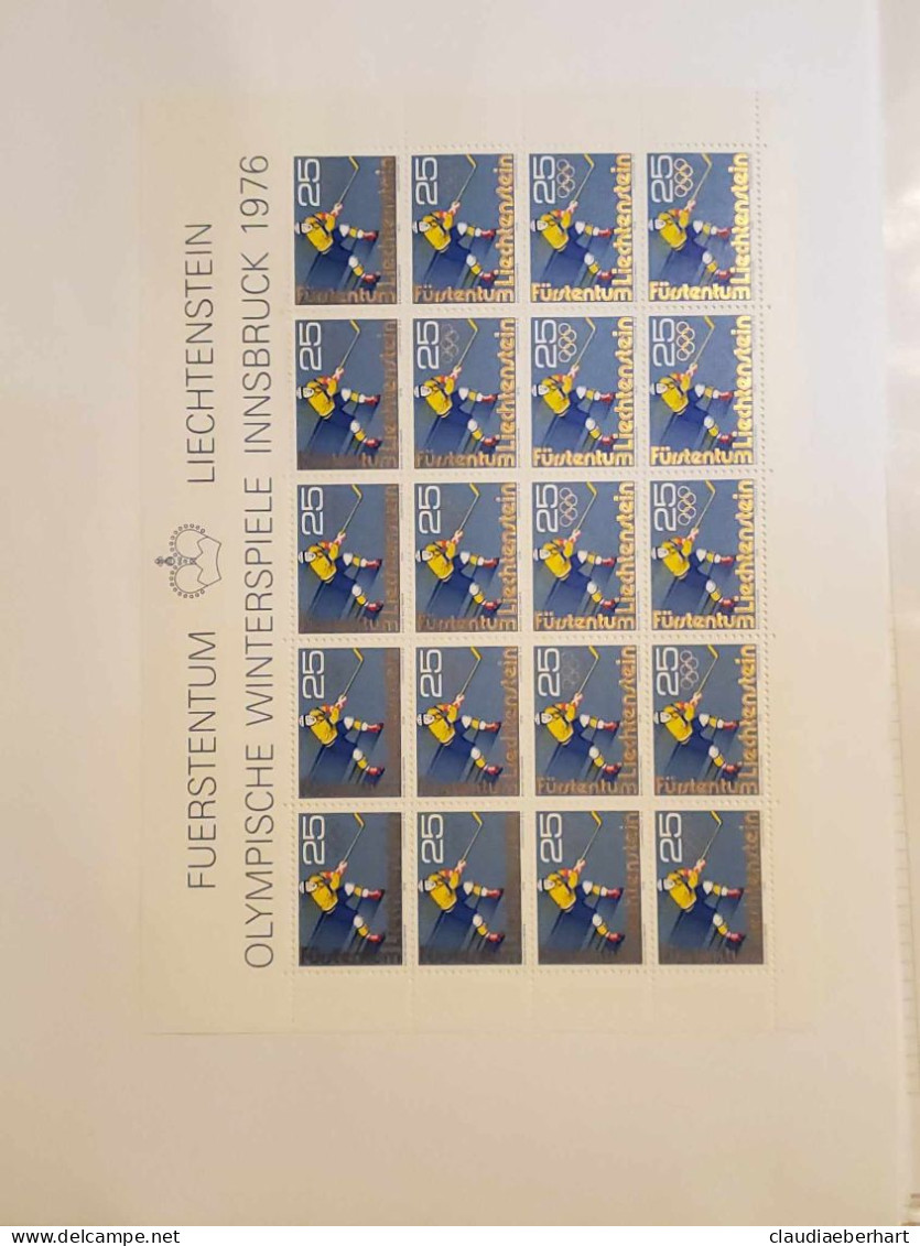 1975 Hockeyspieler Bogen Postfrisch Bogen Ersttagsstempel - Brieven En Documenten