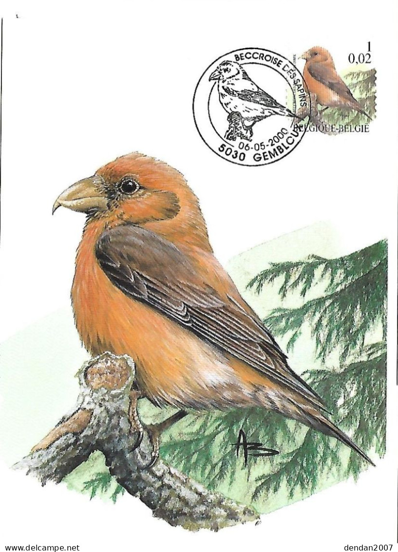 Belgium  - Buzin - Maximum Card 2000 Gembloux : Red Crossbill  -  Loxia Curvirostra - 1991-2000