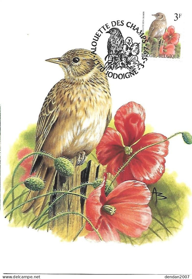 Belgium  - Buzin - Maximum Card 1997 Jodogne : Eurasian Skylark -   Alauda Arvensis - 1991-2000