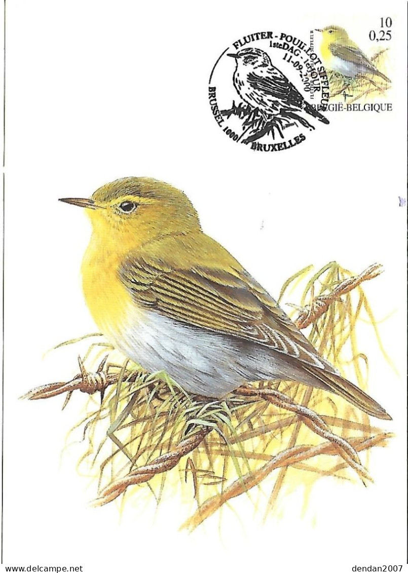 Belgium  - Buzin - Maximum Card 2000 Bruxelles : Wood Warbler  -  Phylloscopus Sibilatrix - 1991-2000