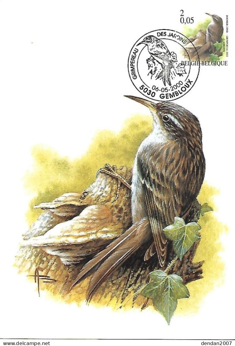 Belgium  - Buzin - Maximum Card 2000 Gembloux :   Short-toed Treecreeper  -  Certhia Brachydactyla - 1991-2000