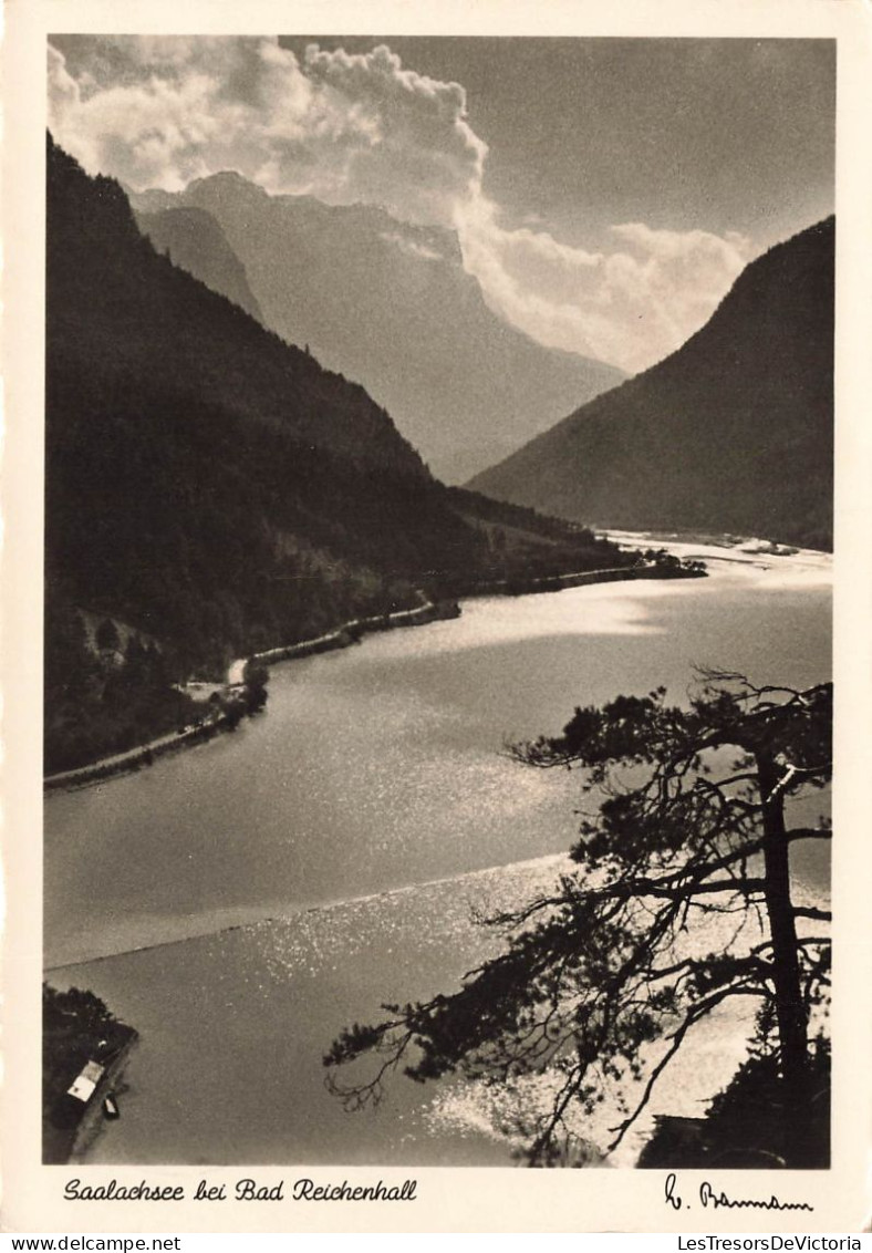 ALLEMAGNE - Lac Saalach Près De Bad Reichenhall - Carte Postale Ancienne - Bad Reichenhall