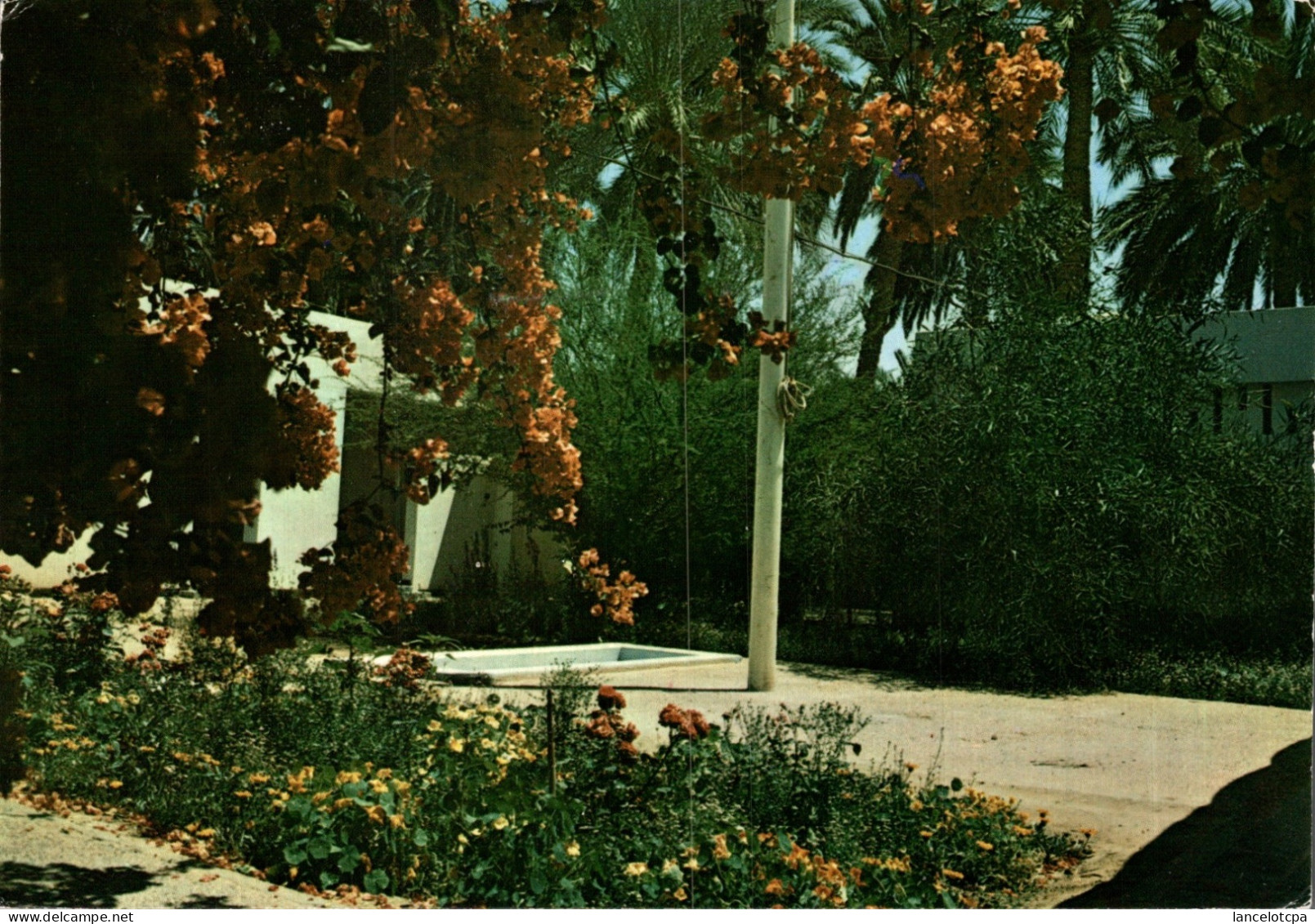 OUARGLA / CLINIQUE OPHTALMOLOGIQUE - LES JARDINS - Ouargla