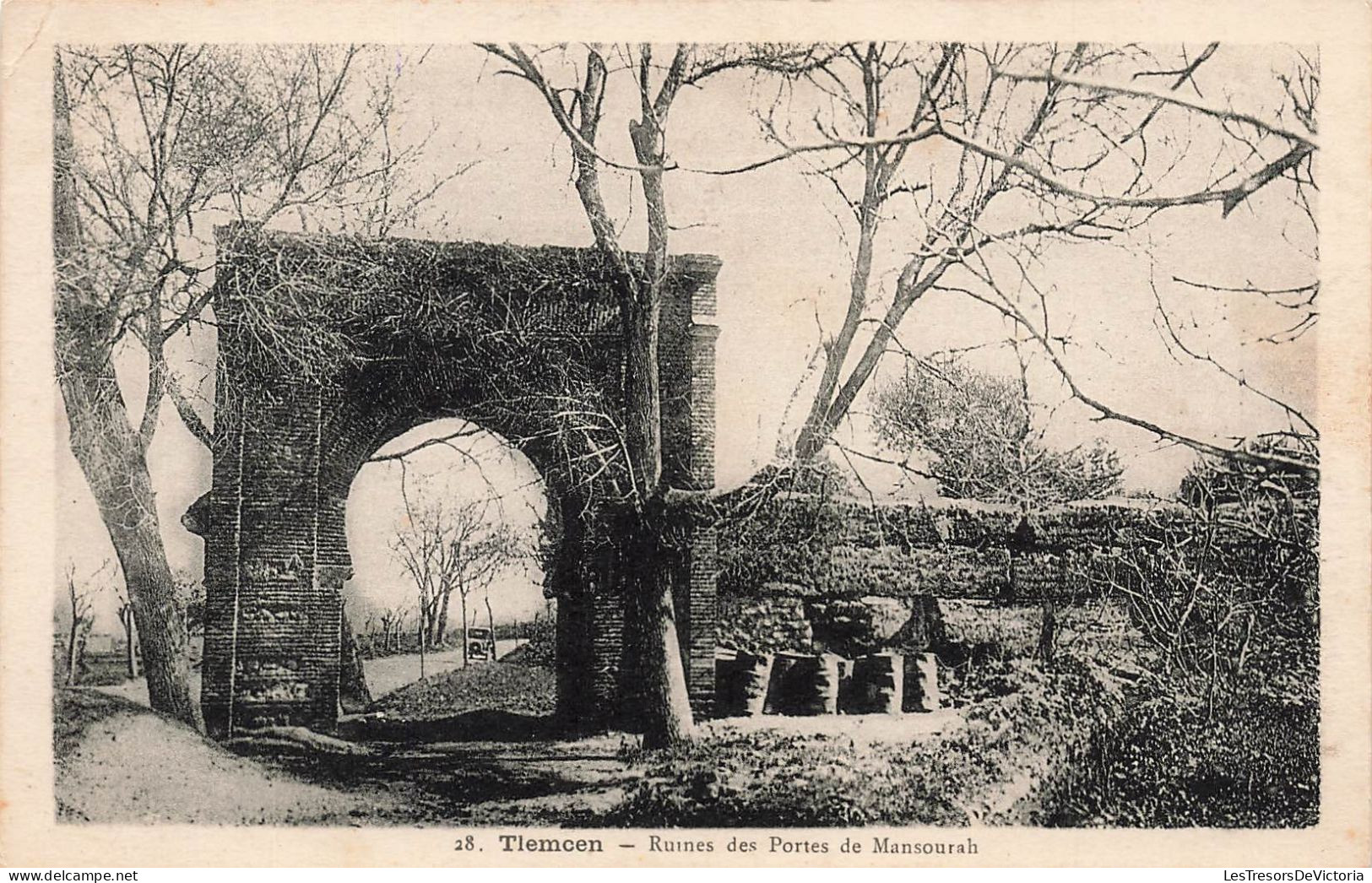 ALGÉRIE - Tlemcen - Ruines Des Portes De Mansourah - Carte Postale Ancienne - Tlemcen