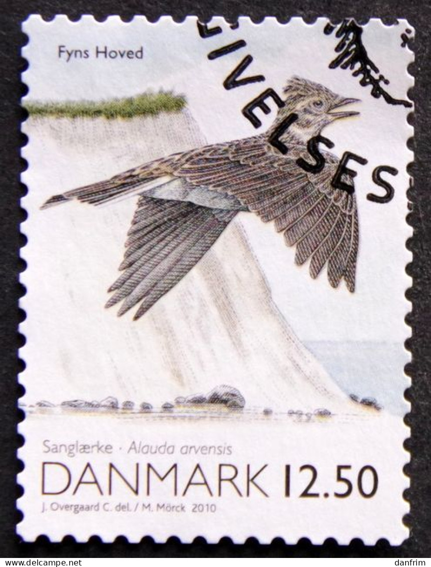 Denmark 2010   Minr.1558    ( Lot  B 2302 ) Bird Vogel Oiseau - Gebruikt