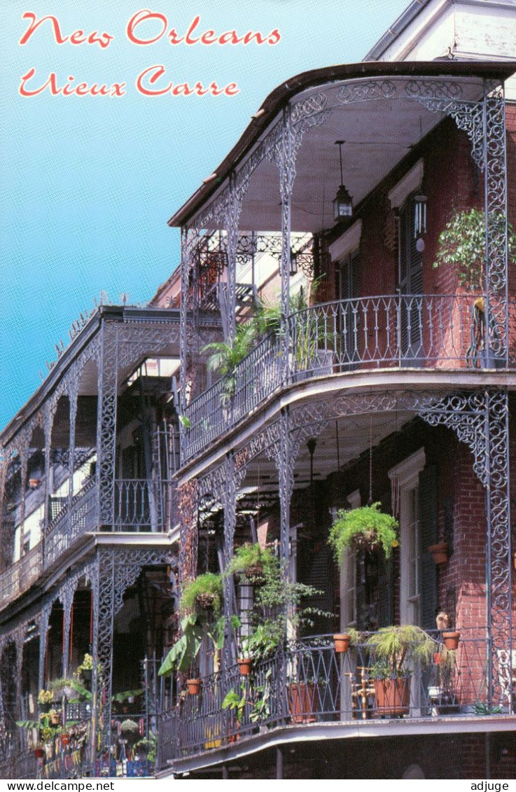 CPM- NEW ORLEANS - Vieux Carré _LACES BALCONES - St Peter Street - Photo GrantL. Robertson-* 2 Scans - New Orleans
