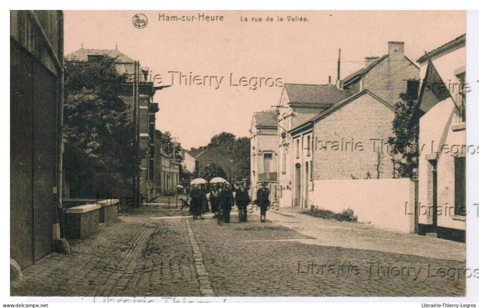 CPA  Ham-sur-Heure  La Rue De La Vallée - Ham-sur-Heure-Nalinnes