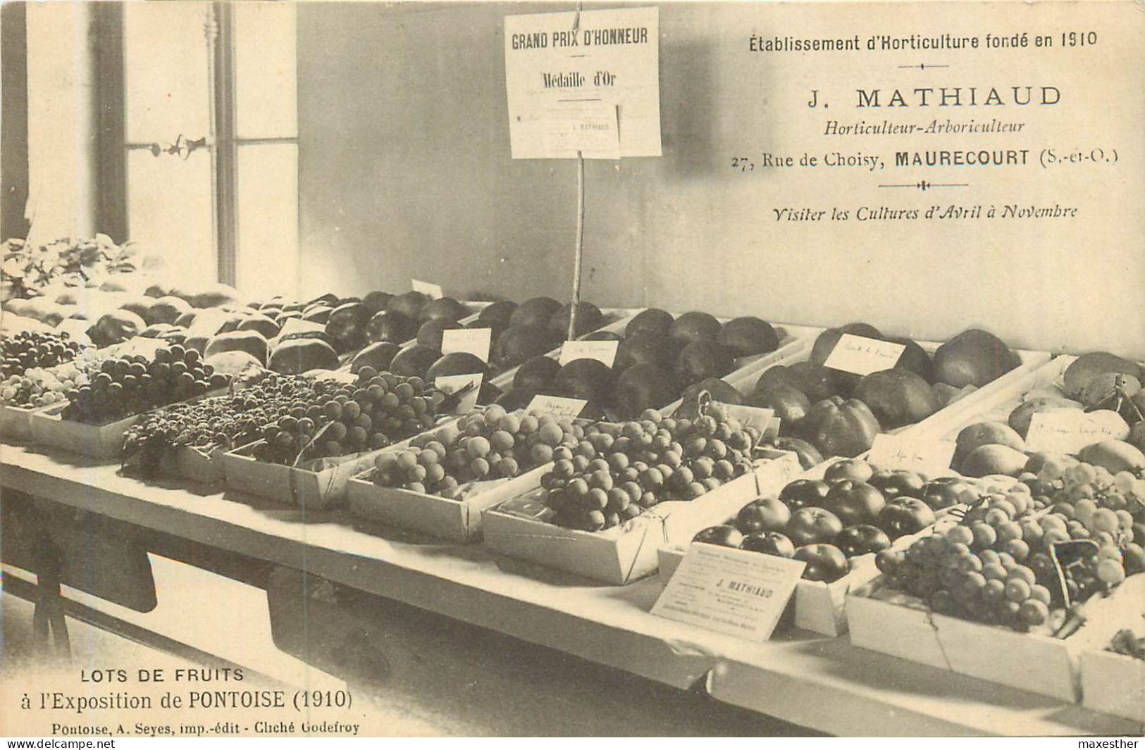 MAURECOURT Lots De Fruits à L'exposition De Pontoise 1910 -CARTE PHOTO - Maurecourt