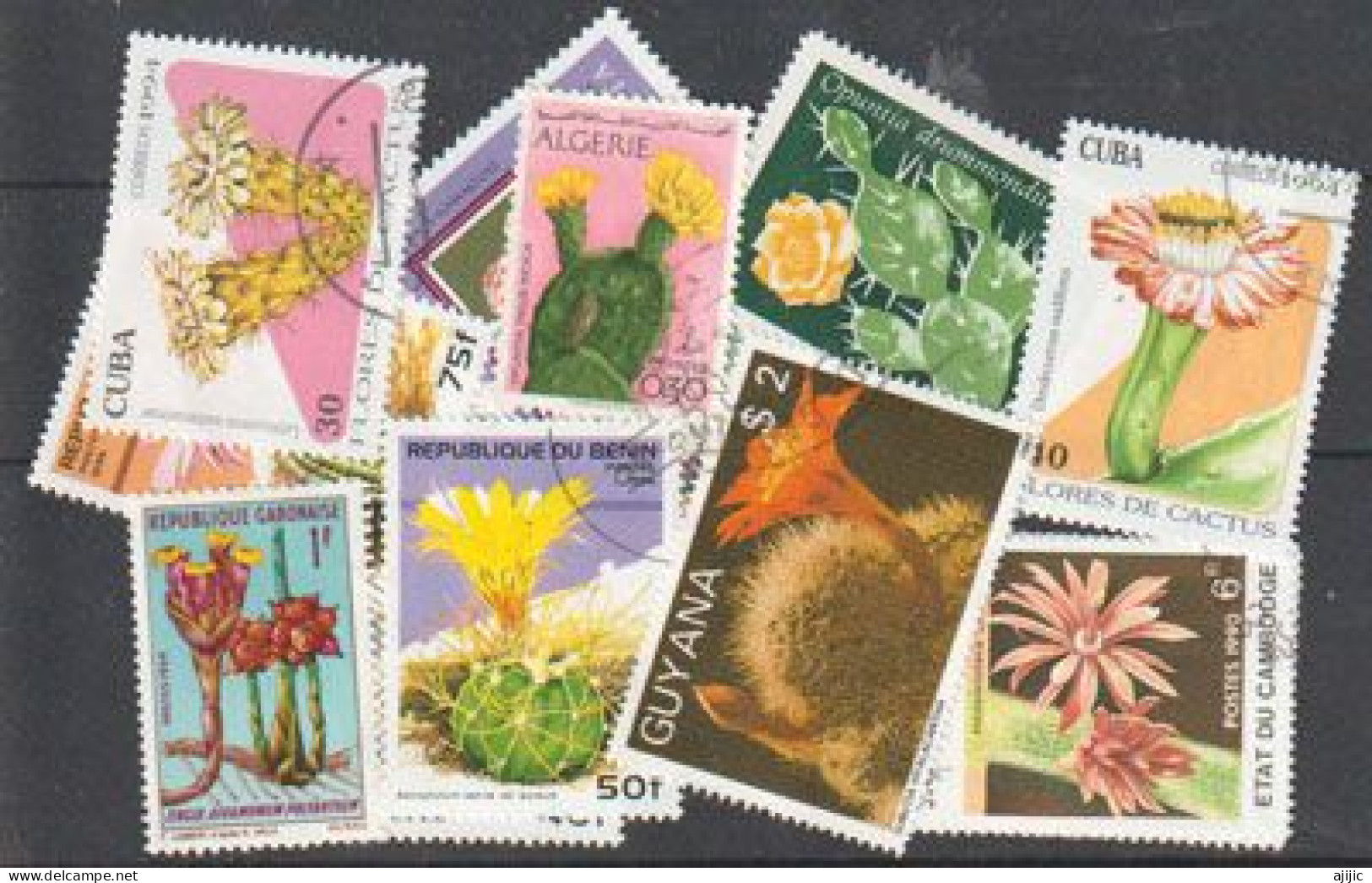 CACTUS. Beau Lot De 15 Timbres Différents Oblitérés , Grands Formats , 1 ère Qualité . Lot # 3 - Mezclas (max 999 Sellos)