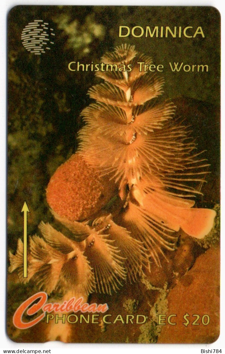 Dominica - Christmas Tree Worm - 9CDME (with Regular O) - Dominica