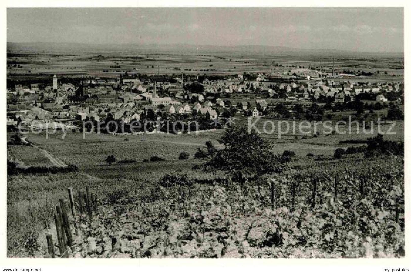 42876105 Gruenstadt Panorama Gruenstadt - Gruenstadt