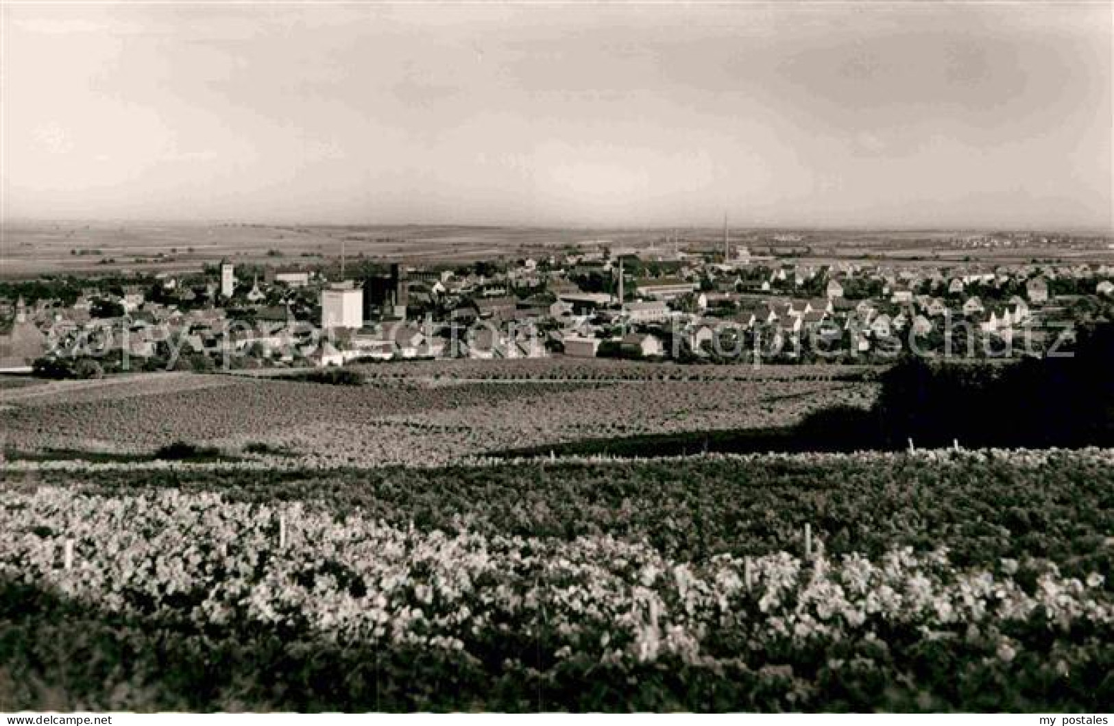 42876102 Gruenstadt Panorama Gruenstadt - Grünstadt