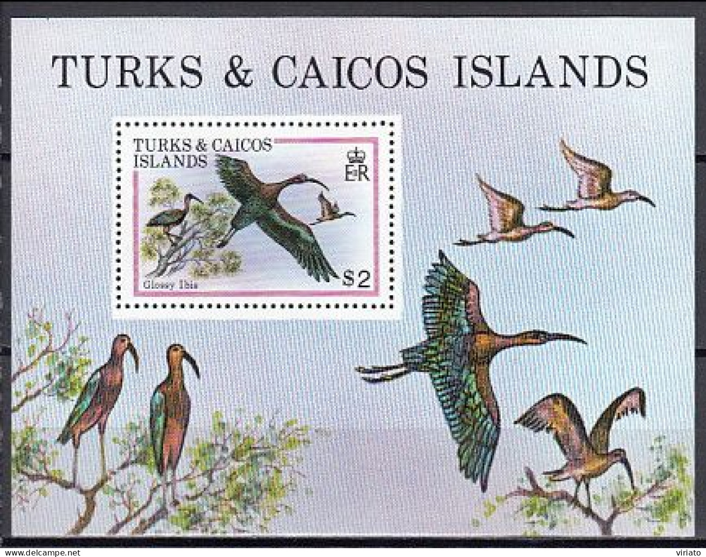 Turks & Caicos 1980 (MNH) (Mi BL21) - Glossy Ibis (Plegadis Falcinellus) - Collections, Lots & Séries