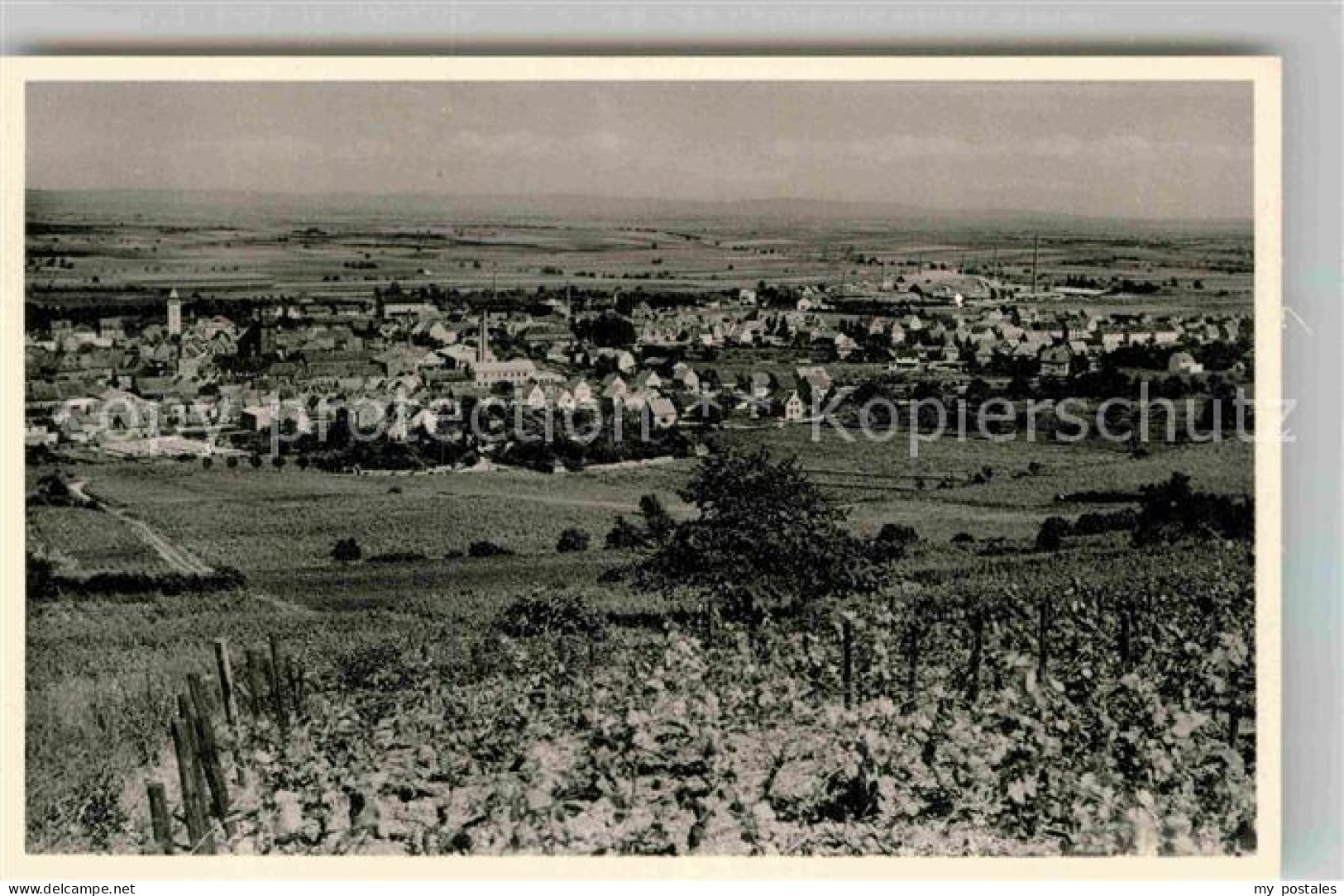 42874948 Gruenstadt Panorama Gruenstadt - Gruenstadt