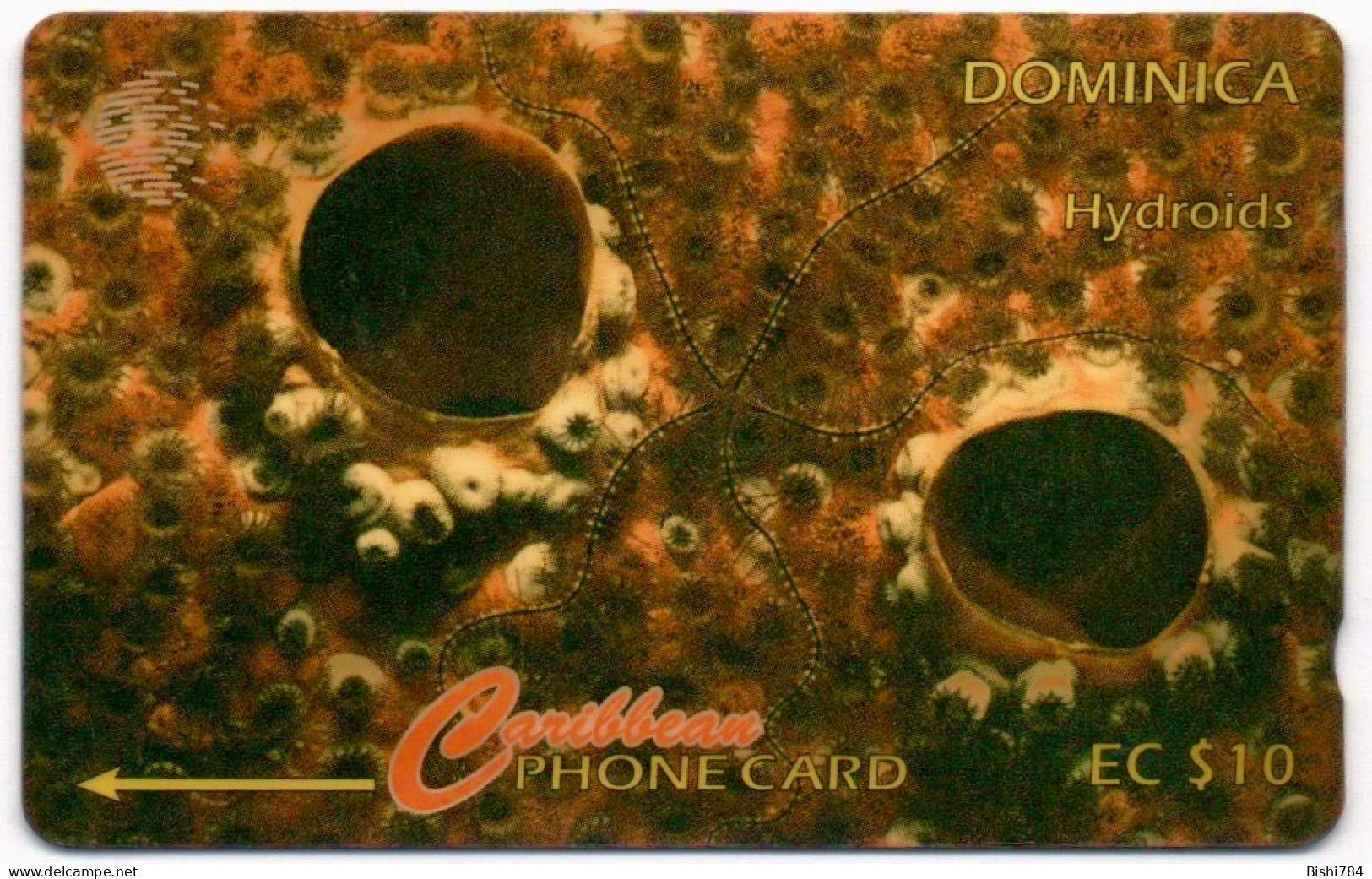 Dominica - Hydroids: 7CDMB (with Regular O) - Dominique