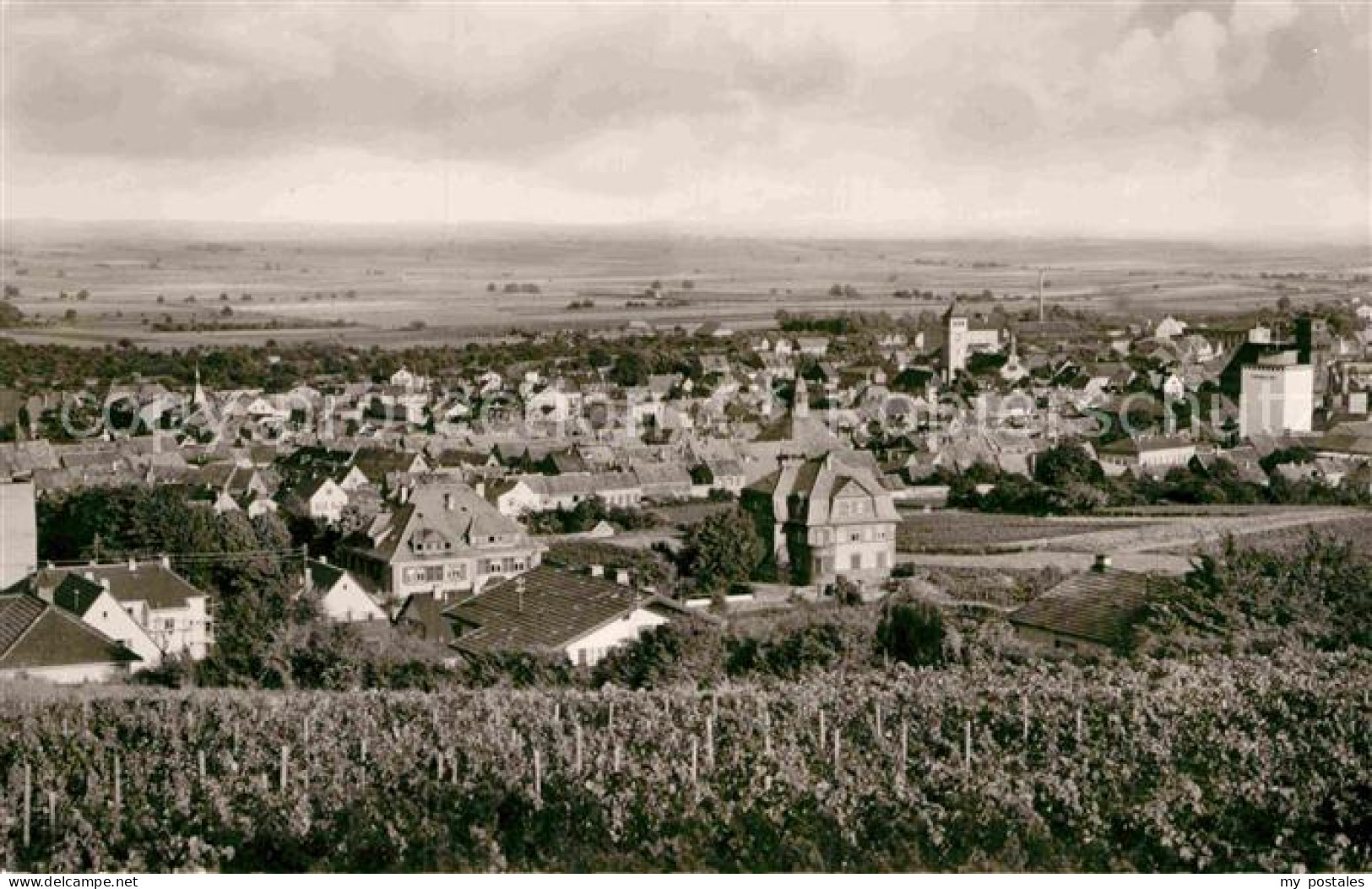 42874850 Gruenstadt Panorama Gruenstadt - Gruenstadt