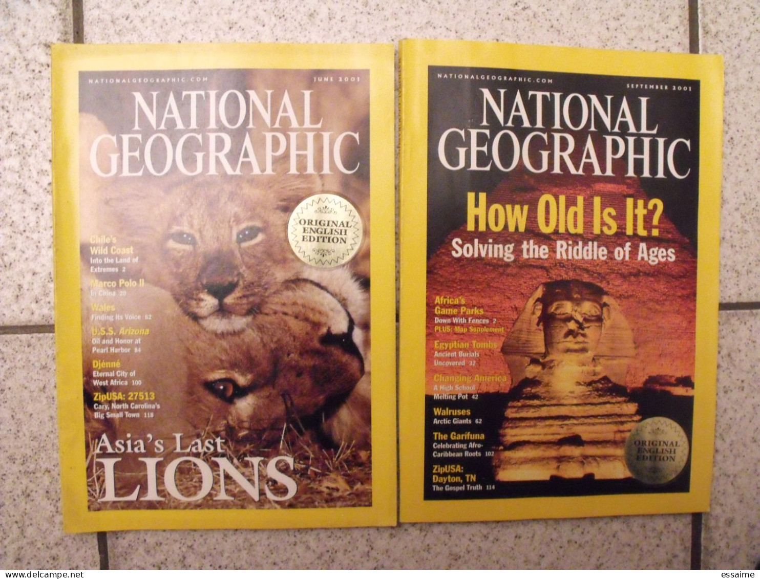 Lot De 12 N° De La Revue National Geographic En Anglais 1985-2002. Original English Edition - Géographie