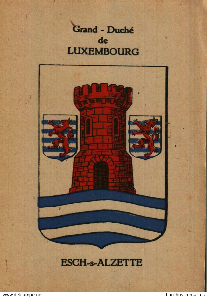 ESCH-SUR-ALZETTE   -  Blason De La Ville D'Esch-sur-Alzette - Esch-sur-Alzette