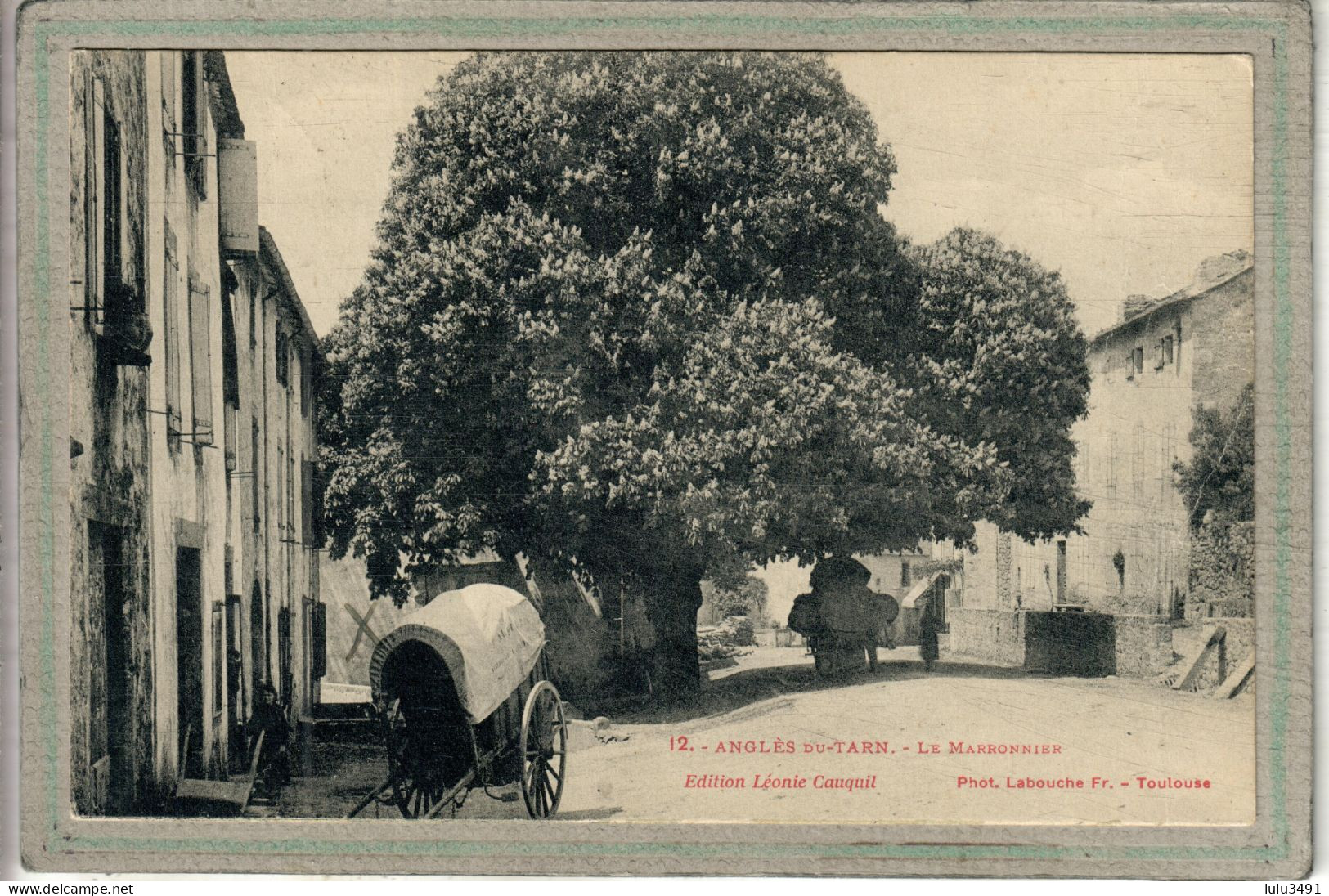 CPA (81) ANGLES - Thème: ARBRE - Aspect Du Marronnier En 1928 - Angles