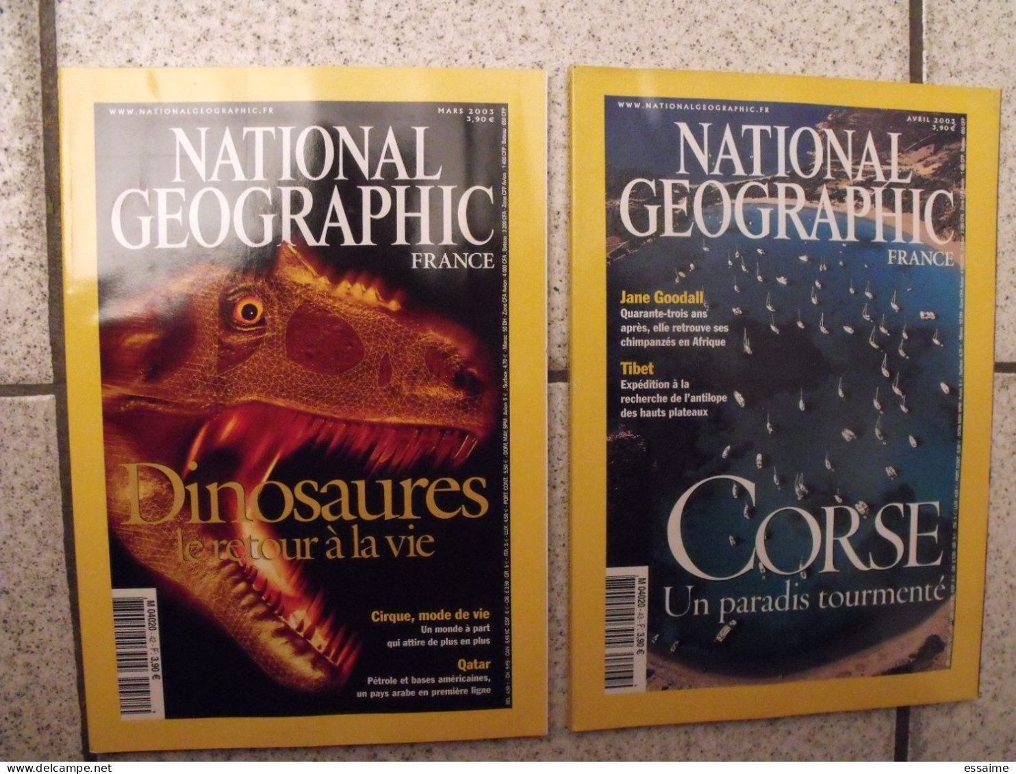 Lot De 13 N° De La Revue National Geographic En Français 2002-2004. - Aardrijkskunde