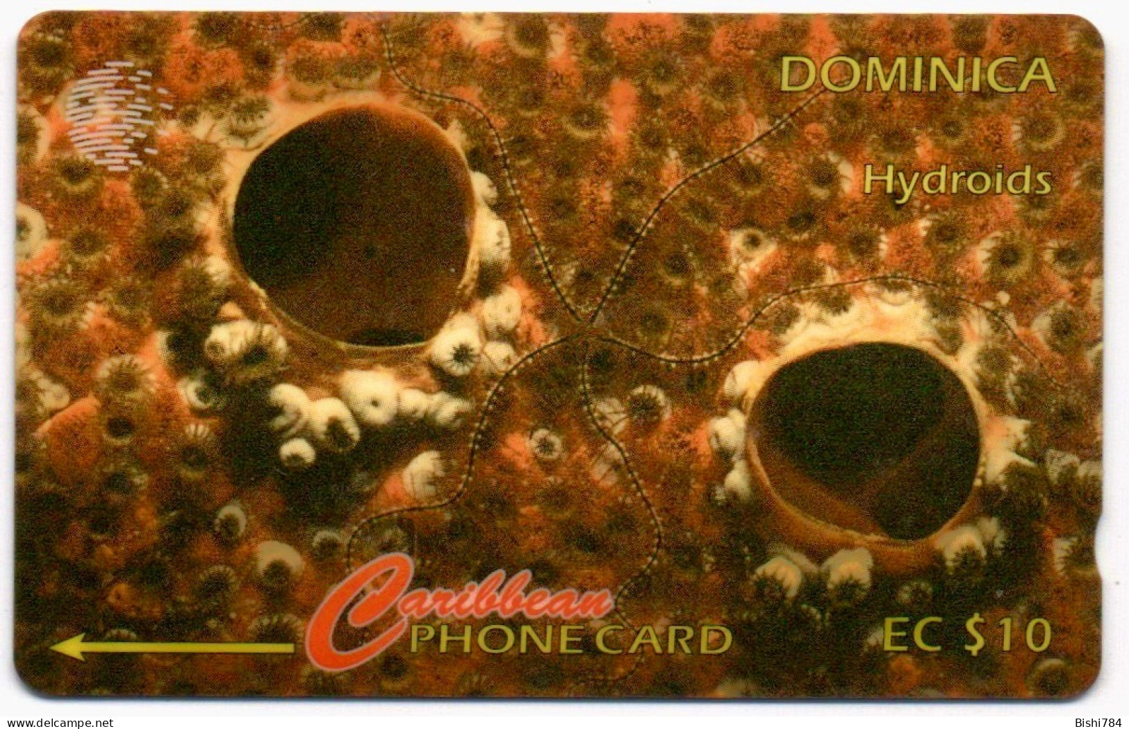 Dominica - Hydroids: 9CDMC (with Ø) - Dominique