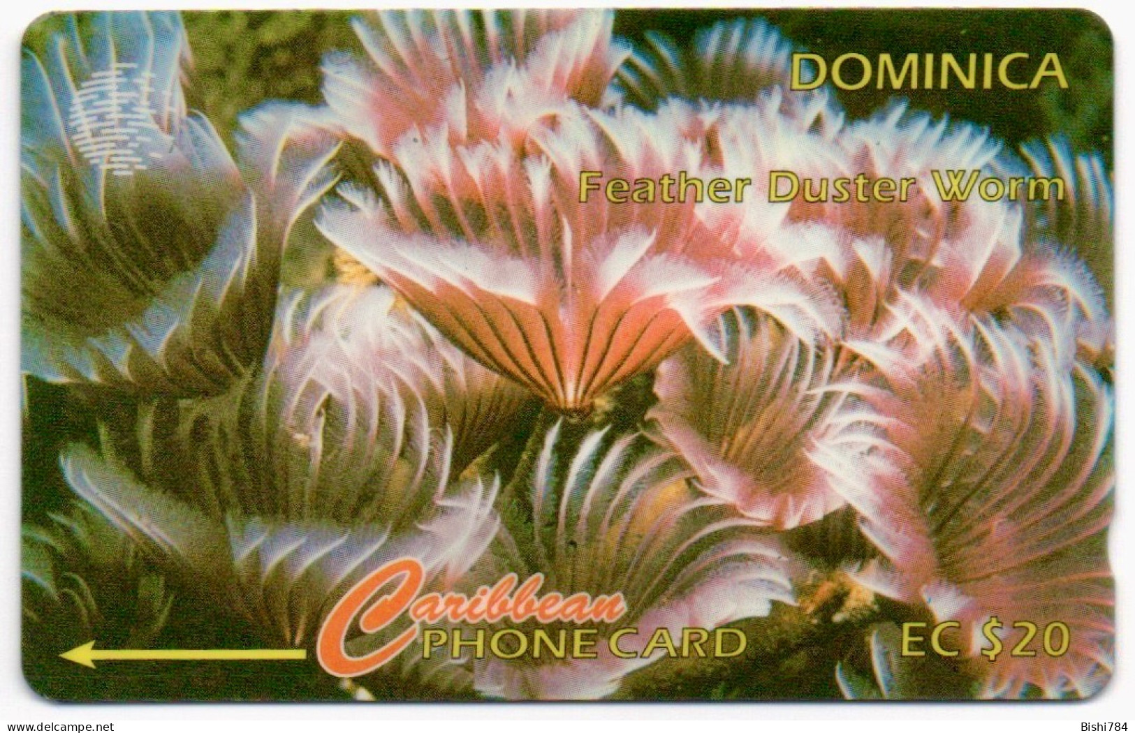 Dominica - Feather Duster Worm - 9CDMG (with Ø) - Dominique