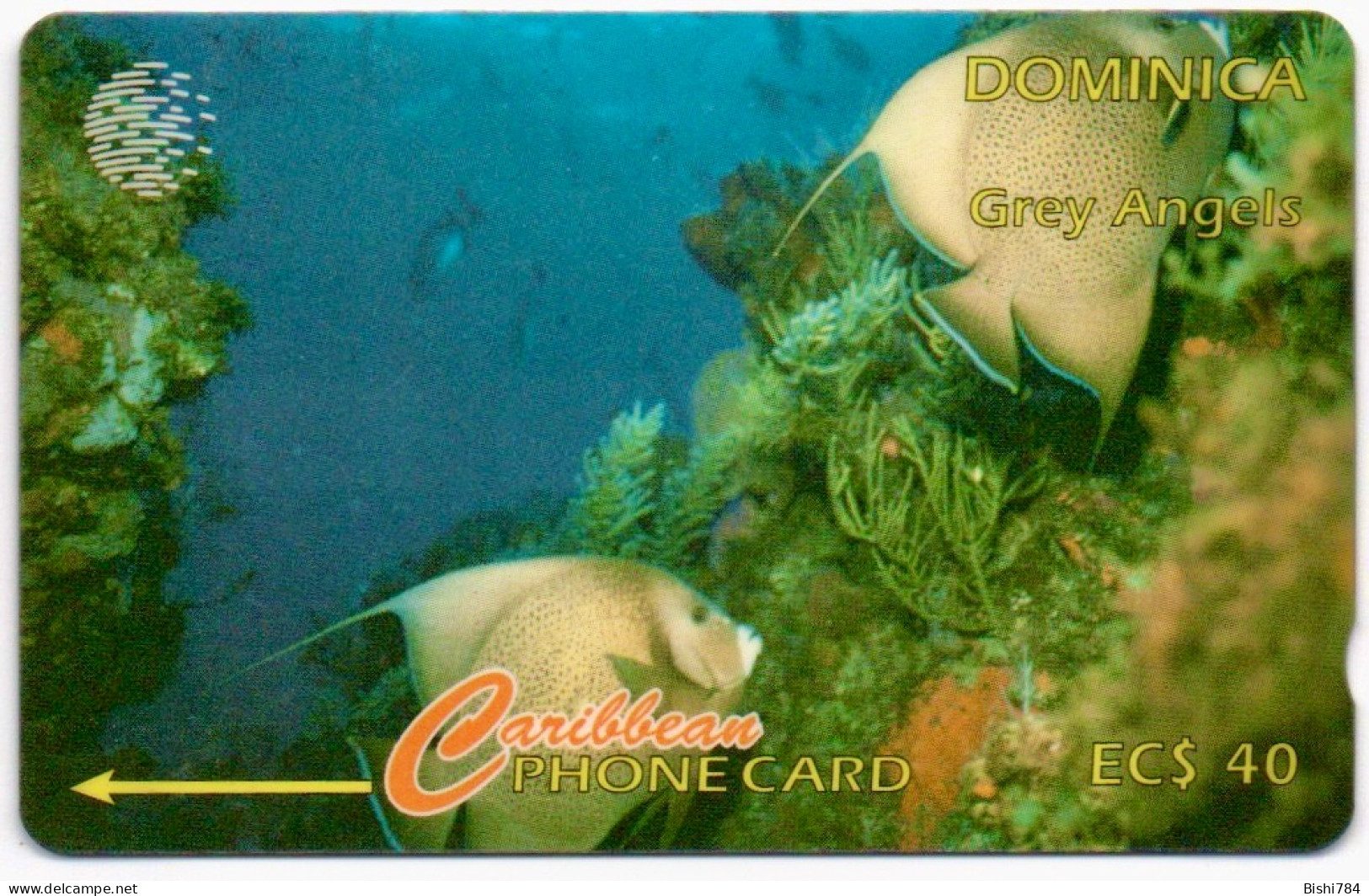 Dominica - Grey Angels - 7CDMC (regular 0) - Dominique