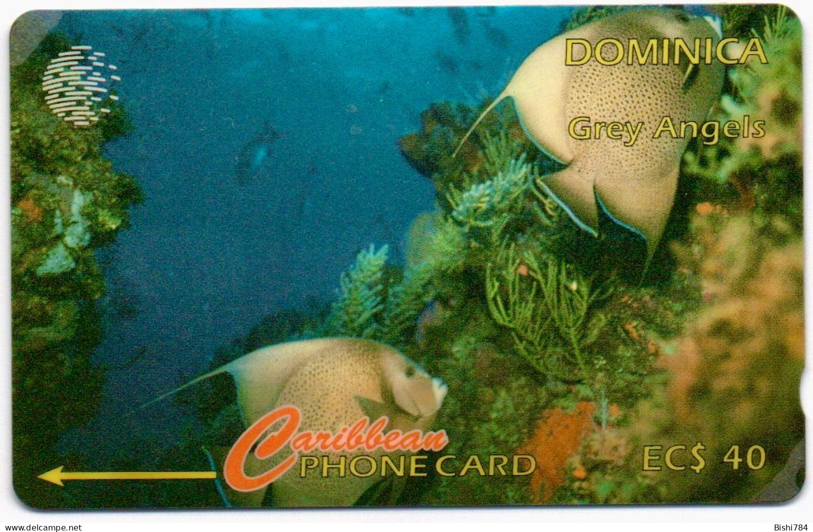 Dominica - Grey Angels - 9CDMH (with Ø). Plastic Cover Slightly Lifted In Top Left Corner. - Dominica