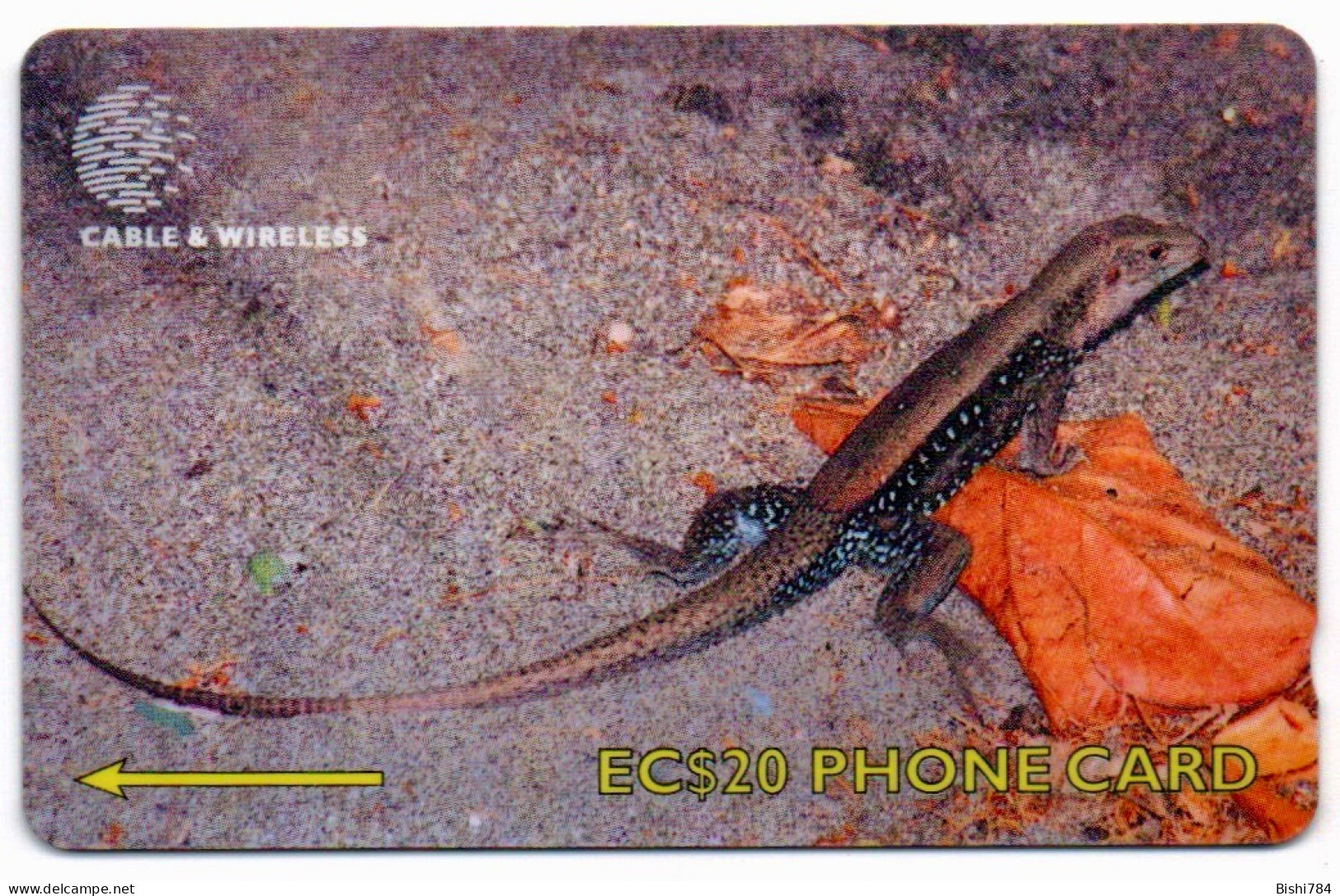 Dominica - Ground Lizard - 244CDMB - Dominique