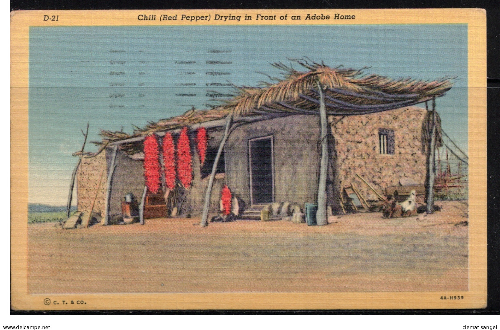 490z * TUCSON * CHILI ( ROTER PFEFFER ) * DRYING IN FRONT OF ADOBE HOME * 1947 **! - Tucson