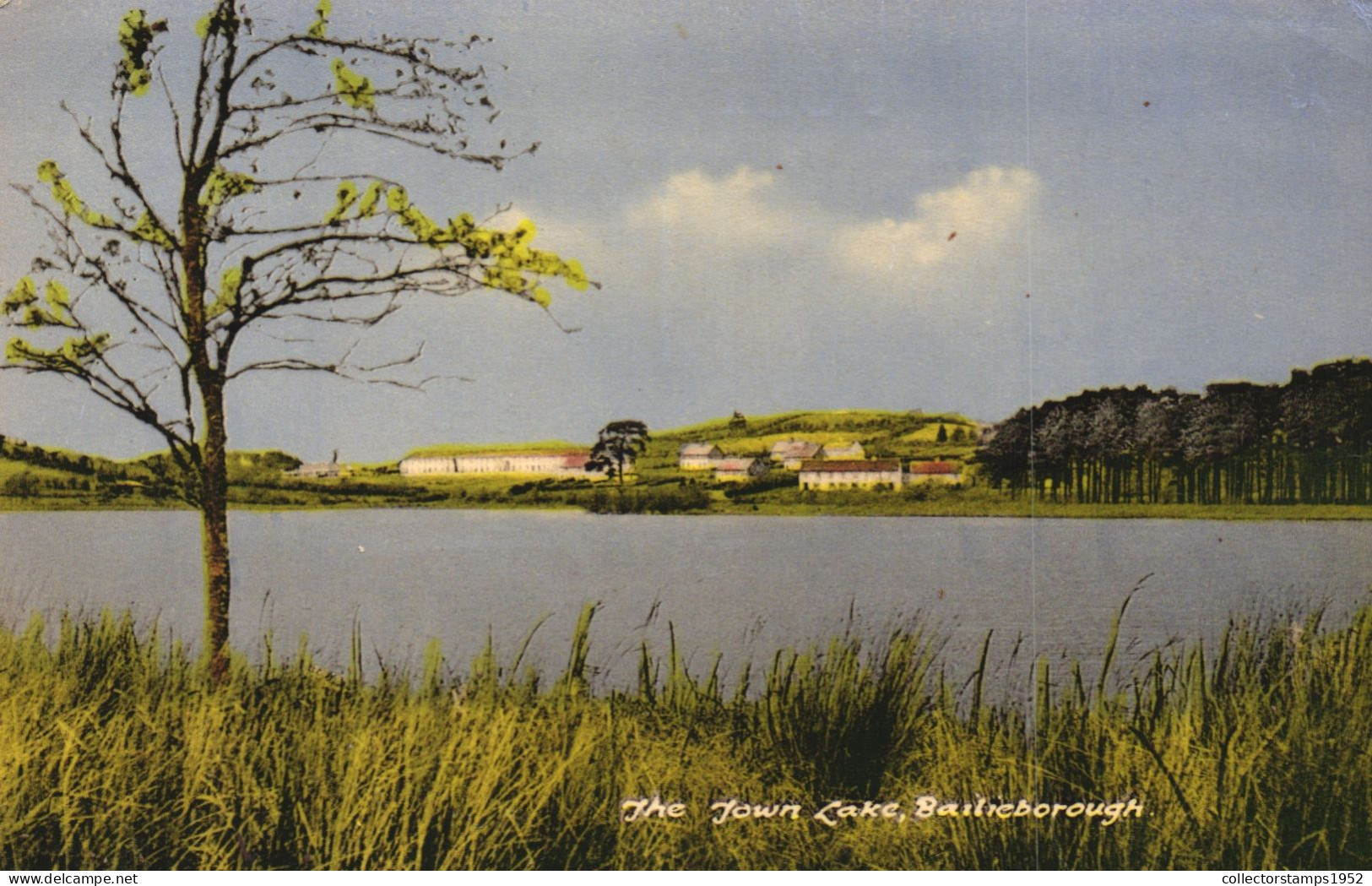 CAVAN, BAILIEBOROUGH, LAKE, ARCHITECTURE, IRELAND - Cavan