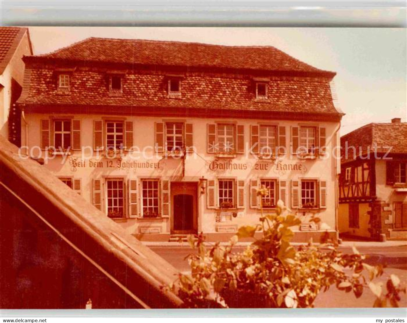 42874729 Deidesheim Gasthaus Zur Kanne Deidesheim - Deidesheim