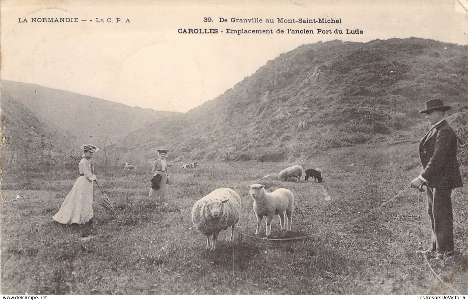 France - La Normandie - De Grandville Au Mont Saint Michel - Carolles -Mouton - Animé-  Carte Postale Ancienne - Haute-Normandie