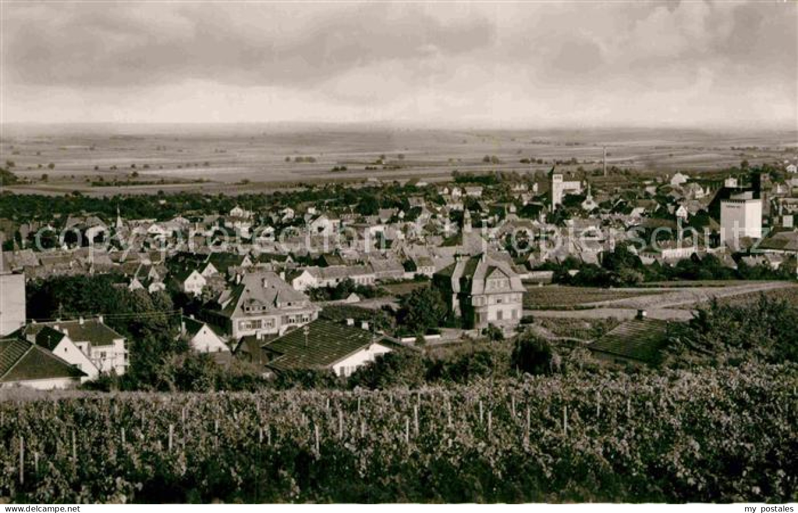 42874349 Gruenstadt Panorama Gruenstadt - Gruenstadt