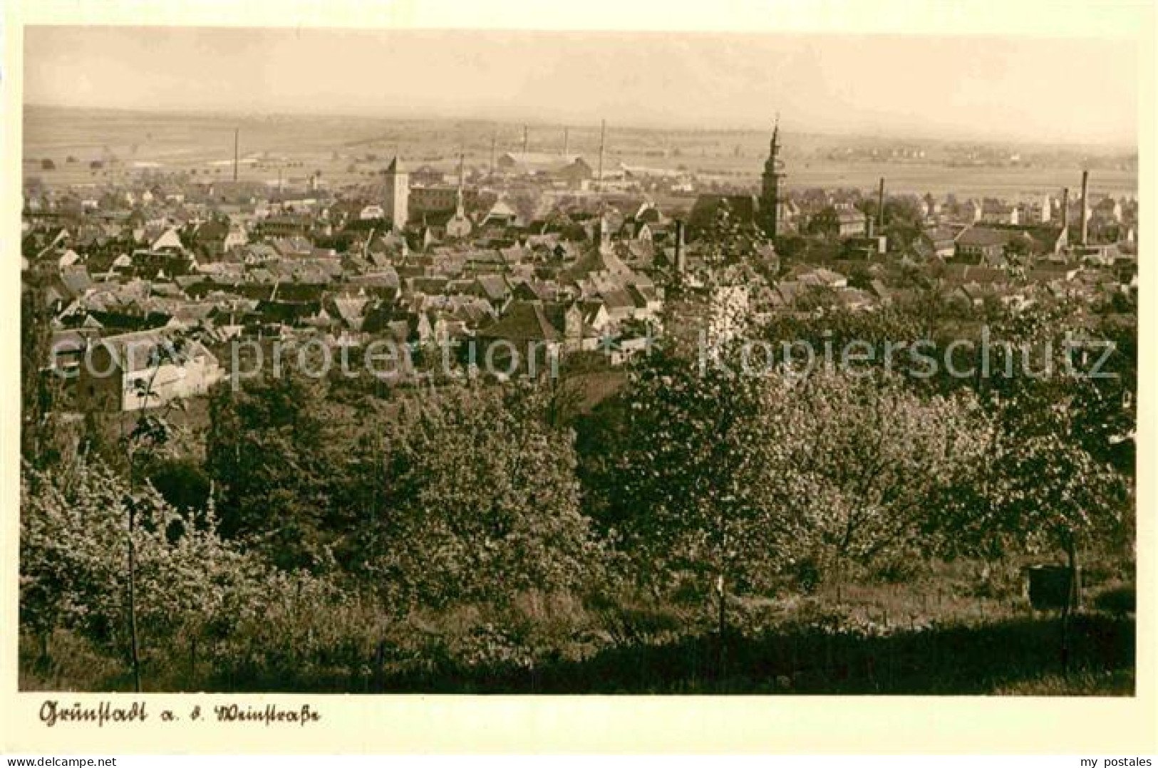 42874207 Gruenstadt Panorama Gruenstadt - Gruenstadt