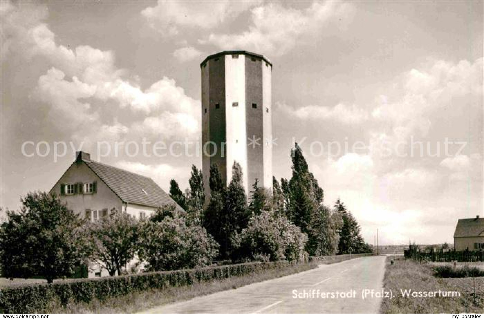 42872071 Schifferstadt Wasserturm Schifferstadt - Schifferstadt