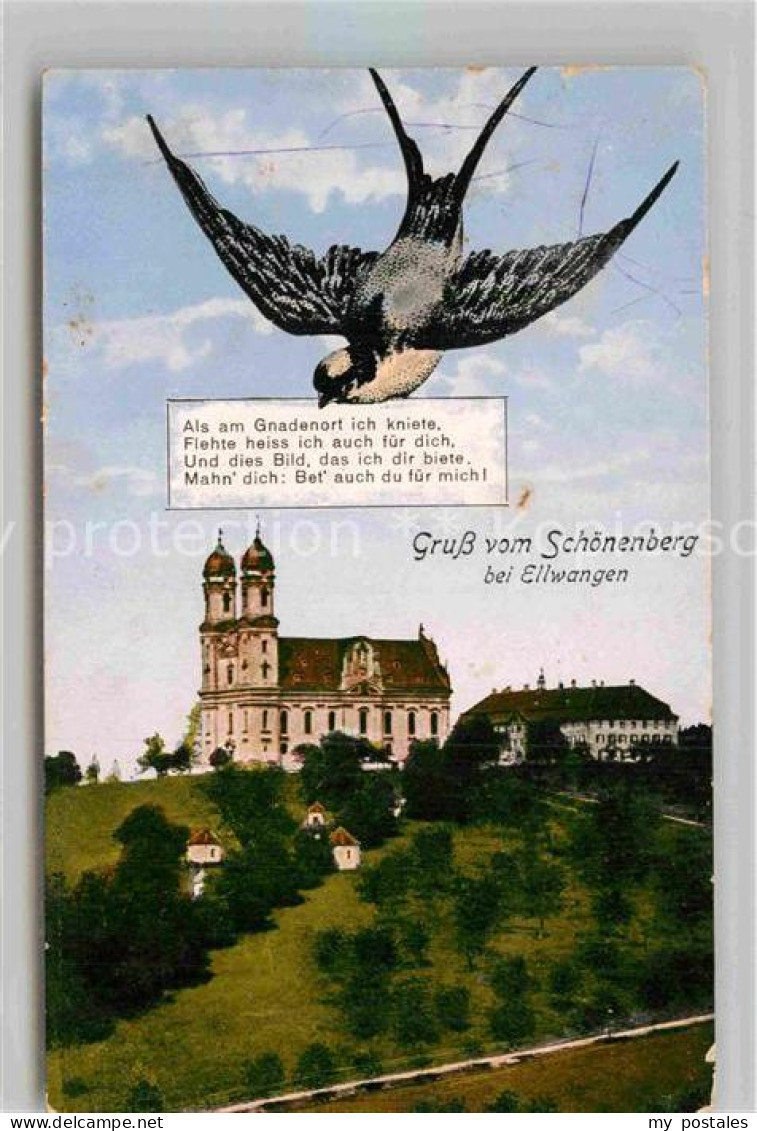 42871675 Ellwangen Jagst Wallfahrtskirche Schoenenberg  Ellwangen (Jagst) - Ellwangen