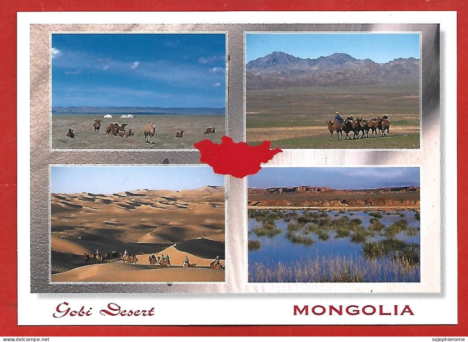 Gobi Desert (Mongolia) Chameaux Camels 2scans 2007 - Mongolei
